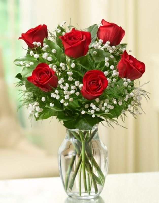  Red Rose Arrangement 1/2 Dozen