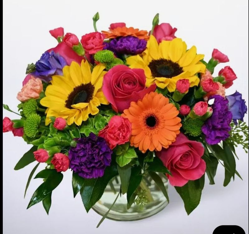 You are my Sunshine Deluxe