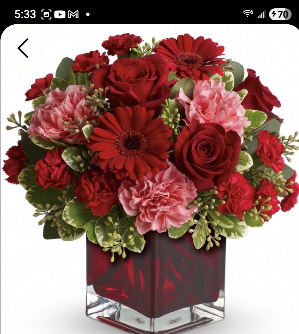 Enchanted Valentine Standard