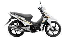 VIVA R STYLE EURO 3
MODELO 2023
