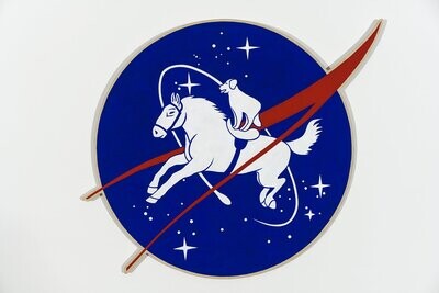 NASA ,dog and pony show