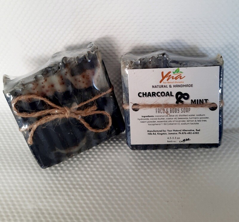 Charcoal &amp; Mint Soap