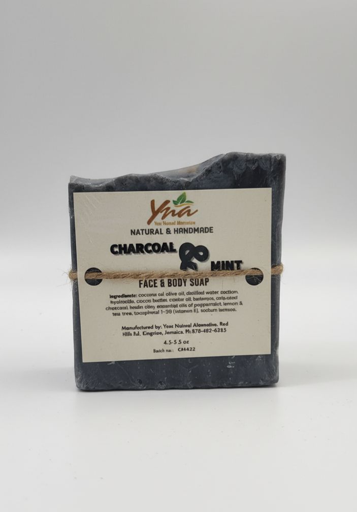 Charcoal &amp; Mint Soap