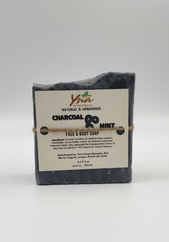 Charcoal &amp; Mint Soap