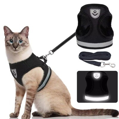 Leash Escape of cats