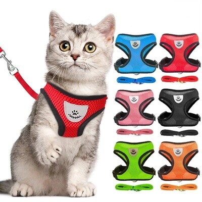 beautiful cat&#39;s Leash