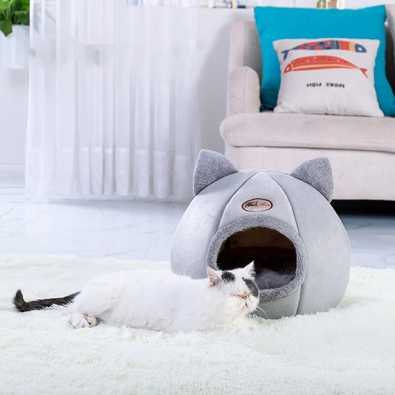 the comfort pet bed