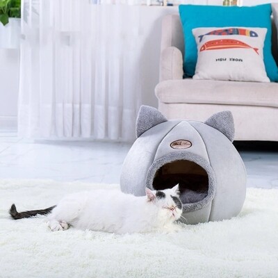 the comfort pet bed