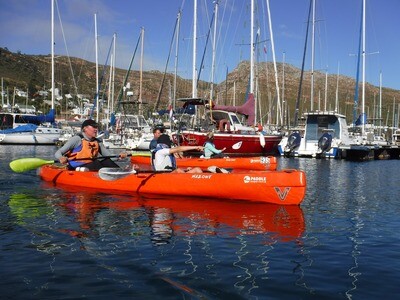 ADVENTURE: PENGUIN PADDLE, SIMON&#39;S TOWN