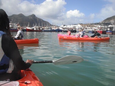 ADVENTURE: SEAL PADDLE, HOUT BAY