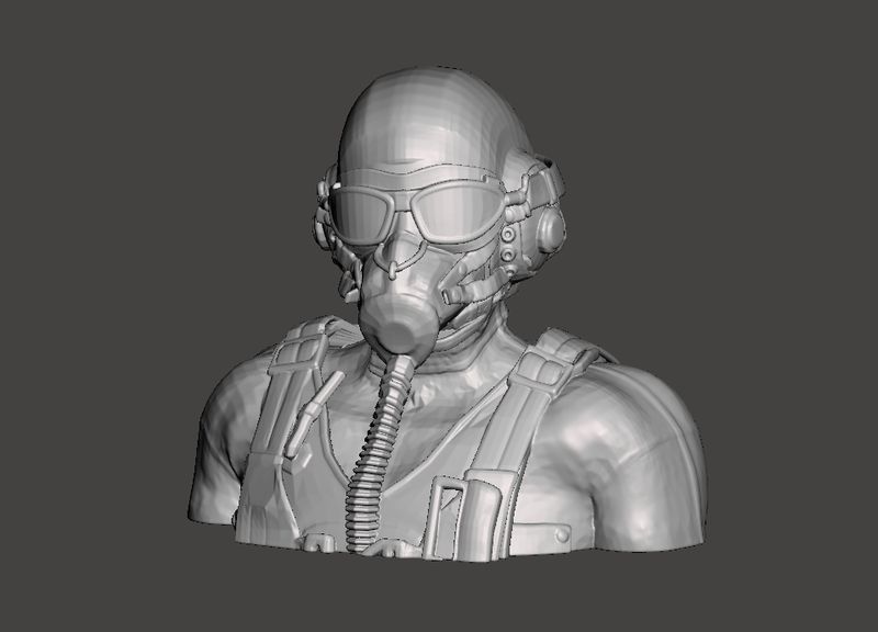 "Mustang Jock" WWII Pilot (Bust)