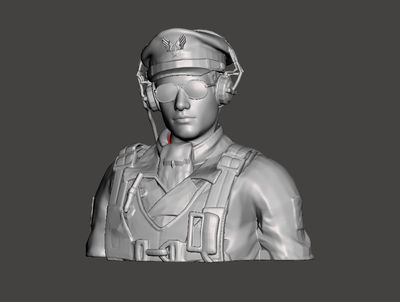 "Bomber Jock" WWII Pilot (Bust)