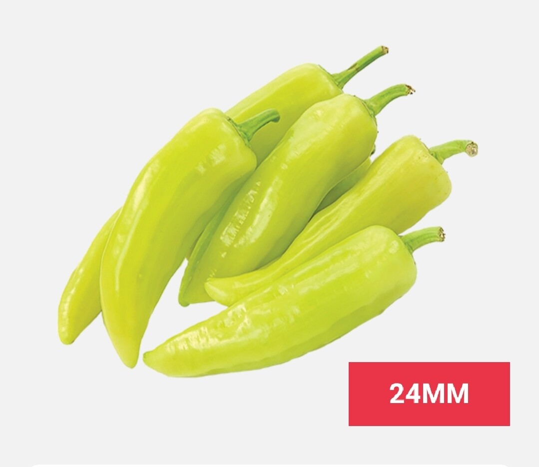 Vegetable / එළවලු