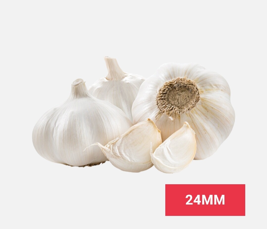 Vegetable / එළවලු