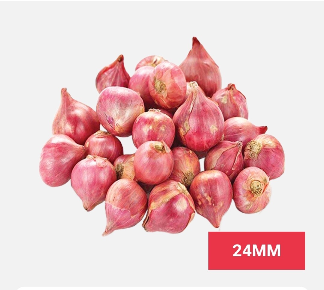 Vegetable / එළවලු