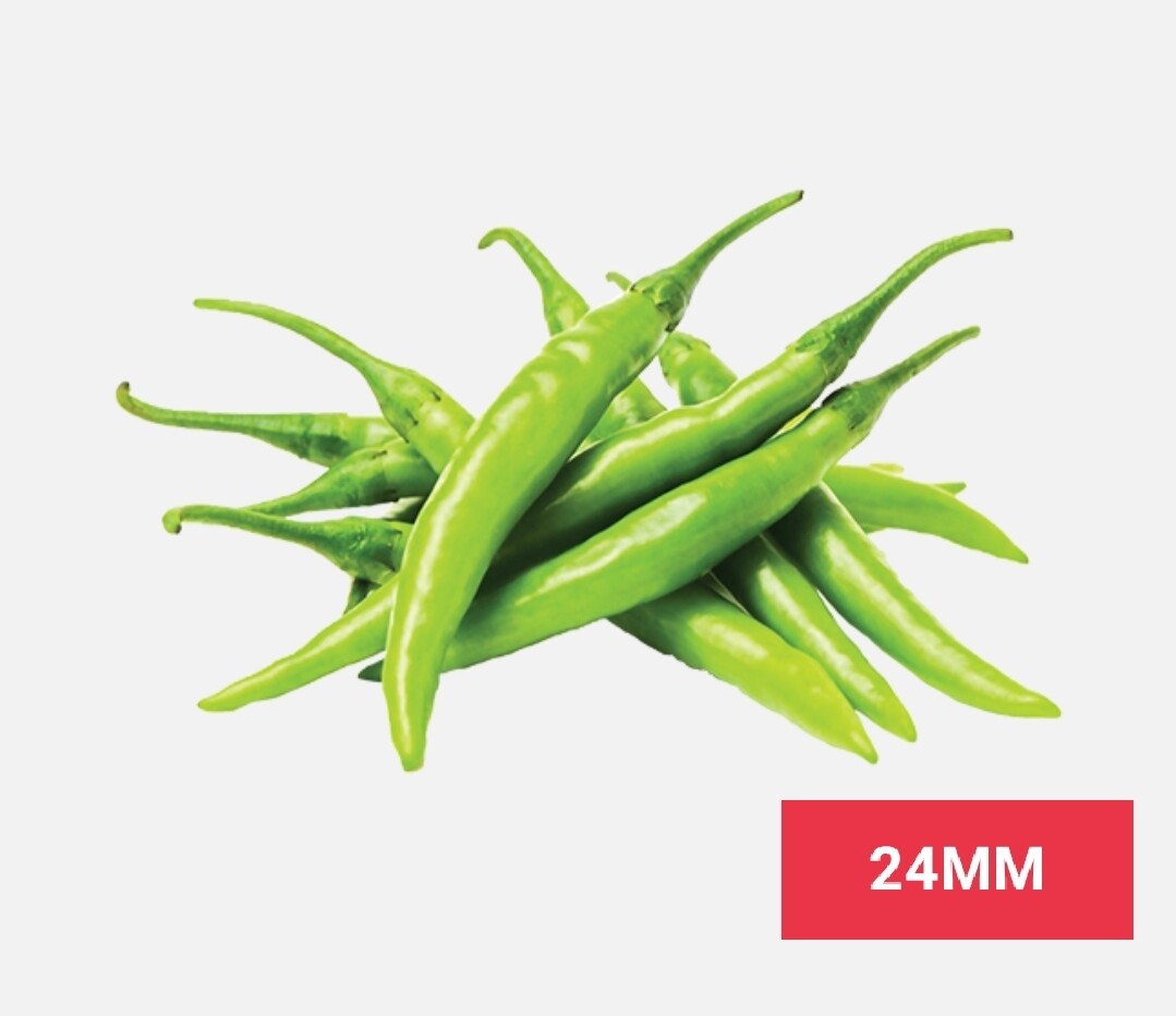 Vegetable / එළවලු