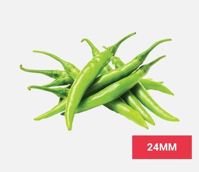 Vegetable / එළවලු