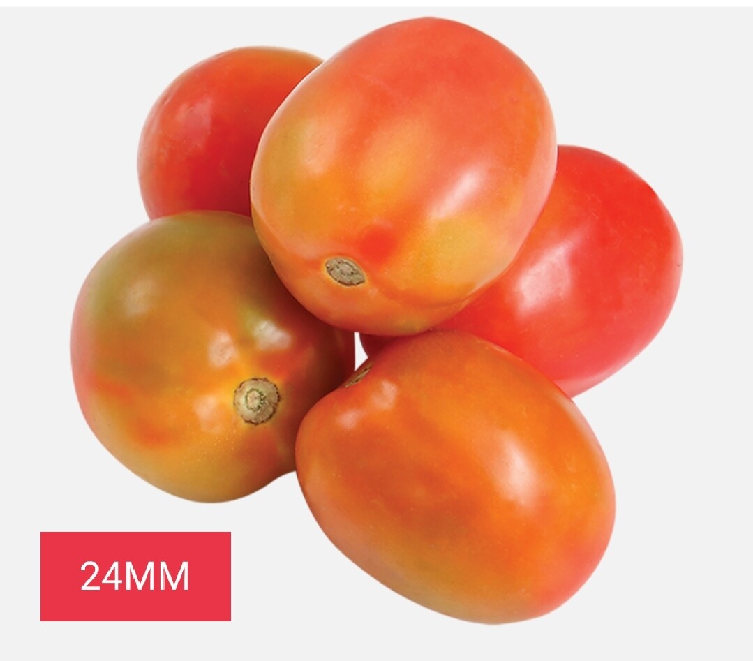 Vegetable / එළවලු
