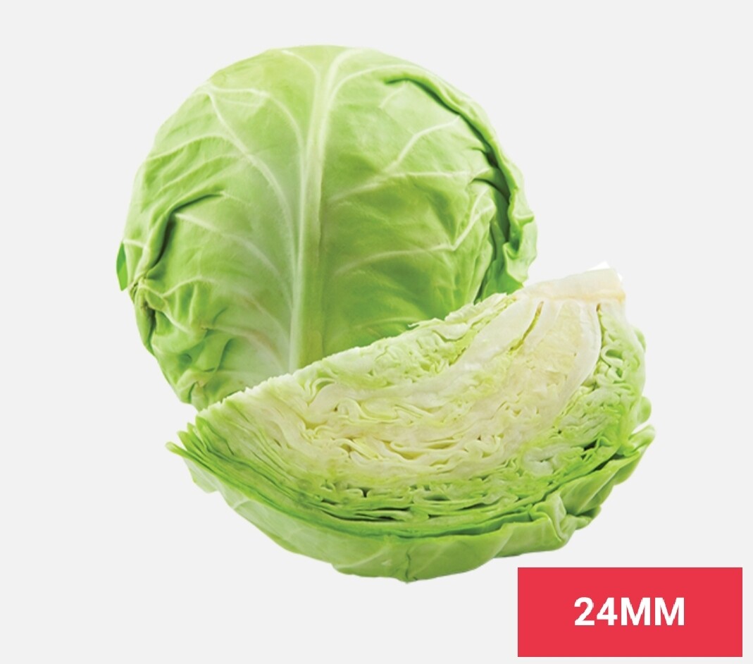 Vegetable / එළවලු