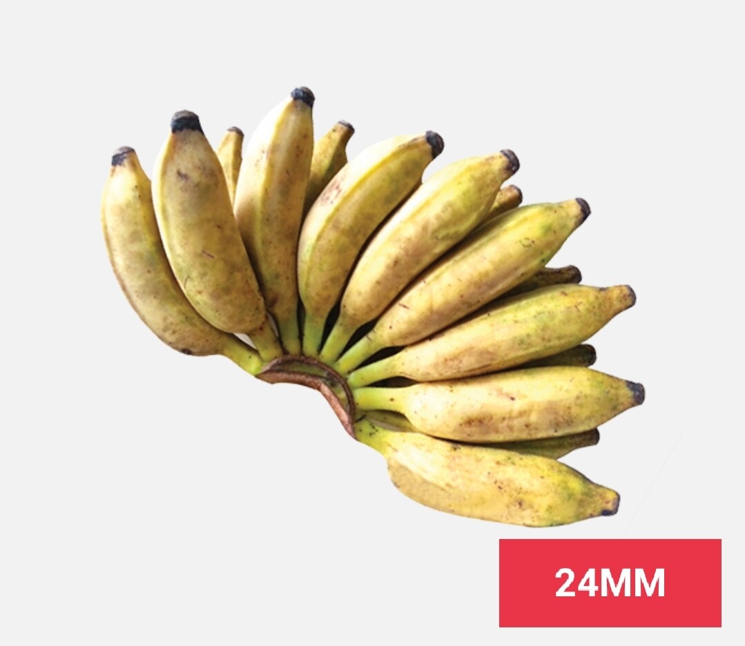 Fruits /පලතුරු 