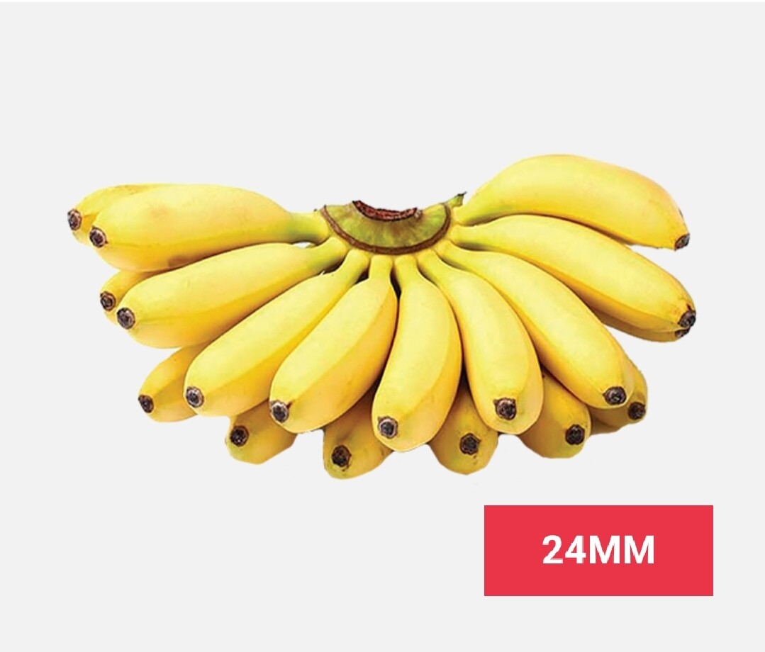 Fruits /පලතුරු 