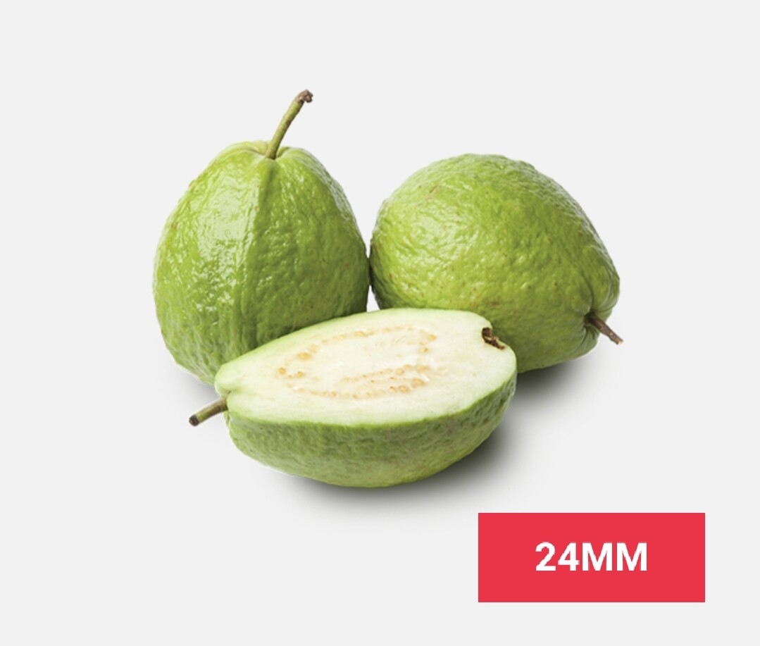 Fruits /පලතුරු 