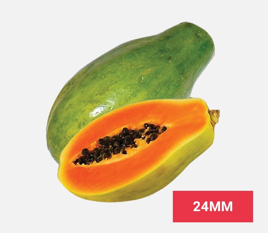 Fruits /පලතුරු 
