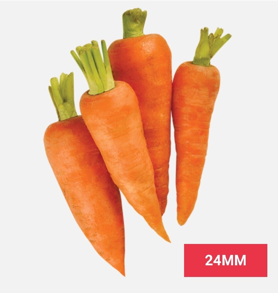 Vegetable / එළවලු
