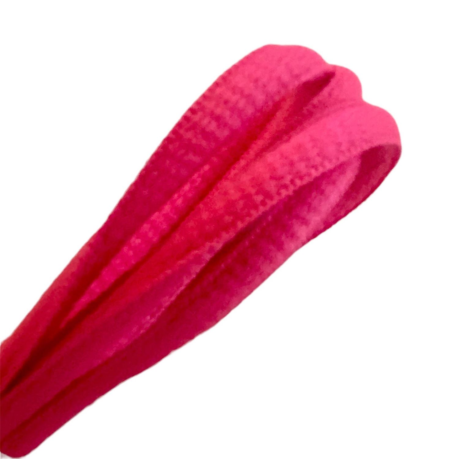 Lacets Ovales Sport Miscly - Polyester Durable 6mm | Multiple Couleurs & Tailles