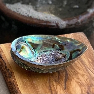 Abalone Shell