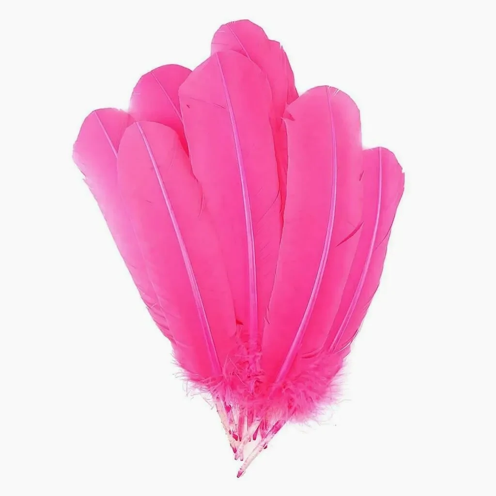 Feathers - Pink