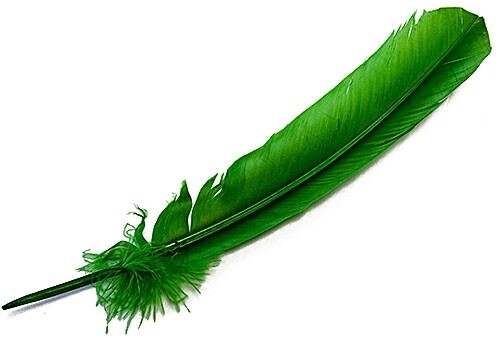 Feathers - Kelly Green