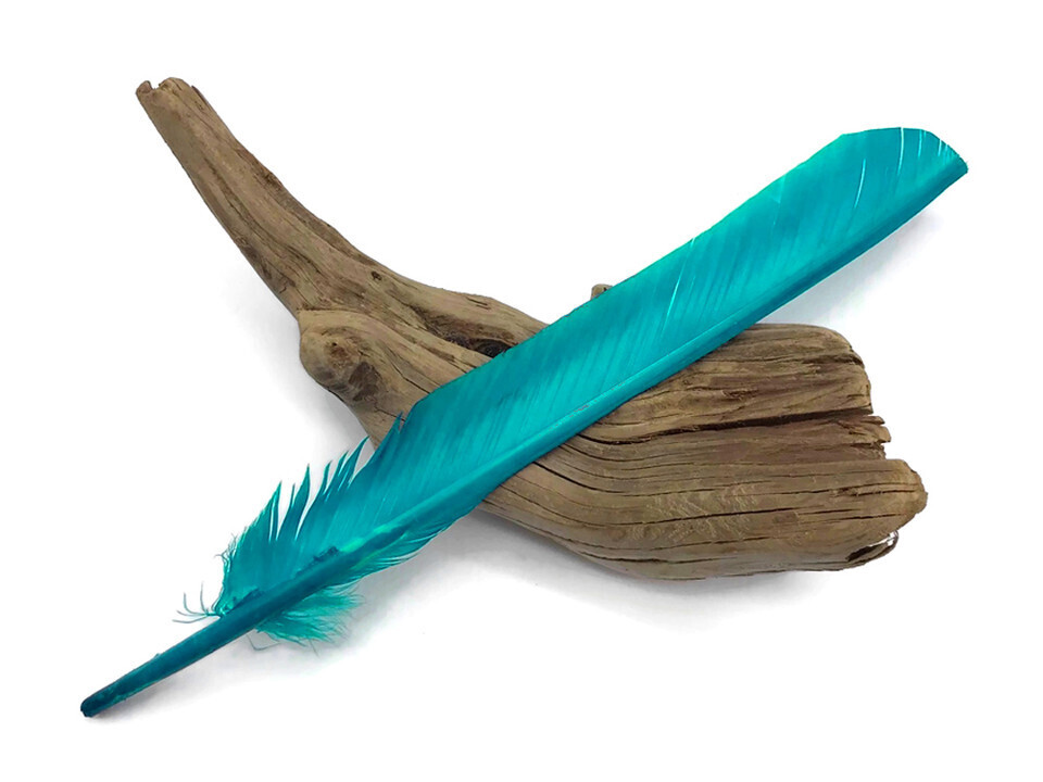 Feathers - Light Blue