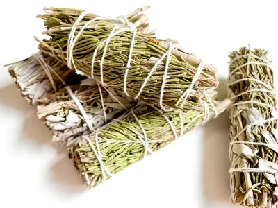Rosemary Sage - 4"