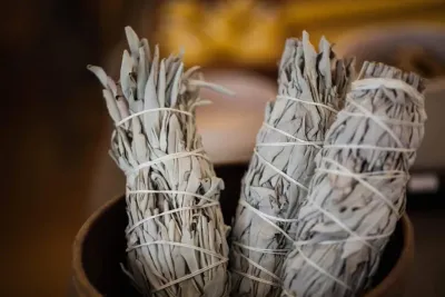 White Sage - 4"
