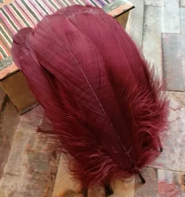 Feathers - Burgundy
