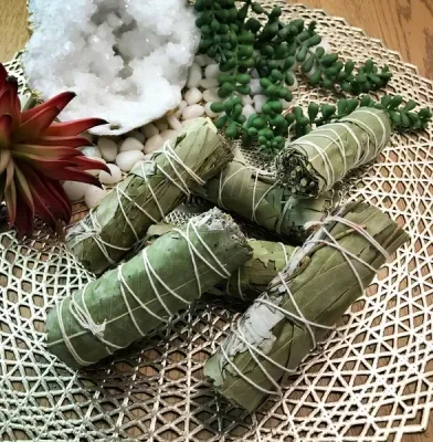 Eucalyptus Sage - 4"