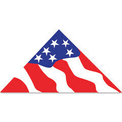 11 Foot Delta Kite, Color: Patriotic