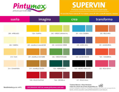 Supervín (Vinil acrílica plástica satinada) Int-Ext 12 años