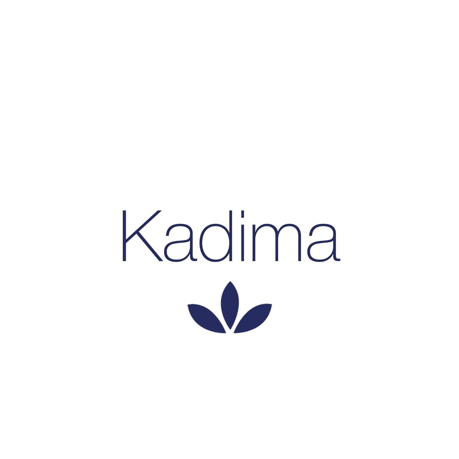 Grupo Kadima