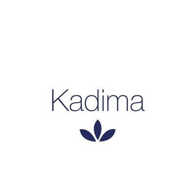 Grupo Kadima
