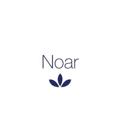 Grupo Noar