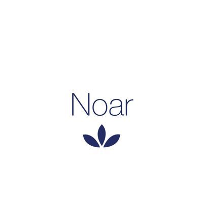 Grupo Noar 2025