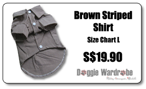Brown Striped Shirt
