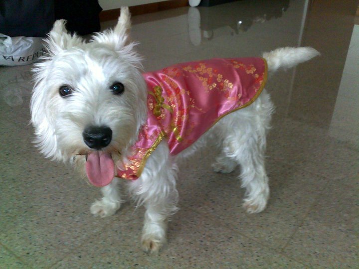 Pink CheongSam