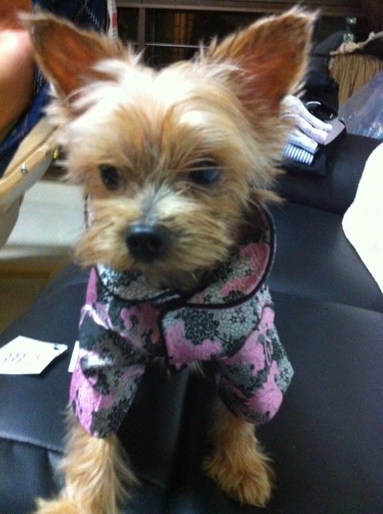 Pink Chic Cheong Sum