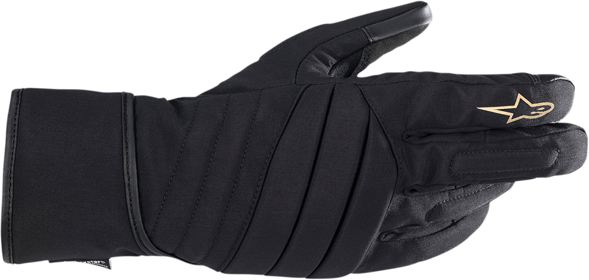 ALPINESTARS
GLOVE 4W SR-3 DS BK