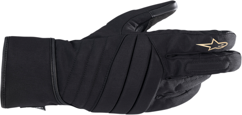 ALPINESTARS
GLOVE 4W SR-3 DS BK
