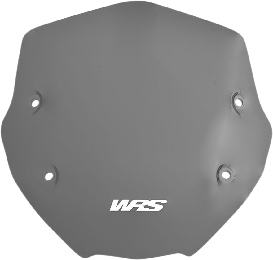 WSCRN SPORT R1250R DSMK