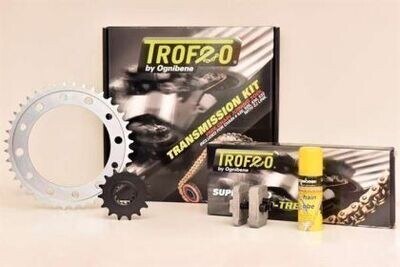 KIT CADENA OE HONDA CBR 125 R 125CC 11-13(15-44-128)
